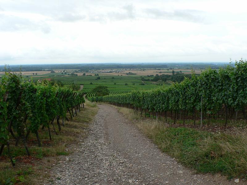 P1030103.JPG - Orschwiller