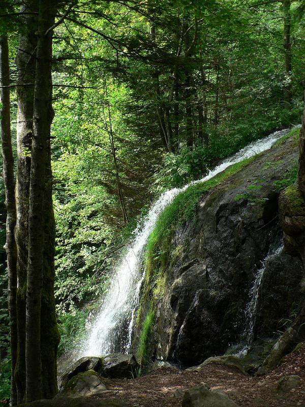 P1030200.JPG - La Cascade du Hohwald