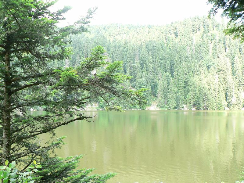 P1030215.JPG - Lac Vert sous la route des crètes