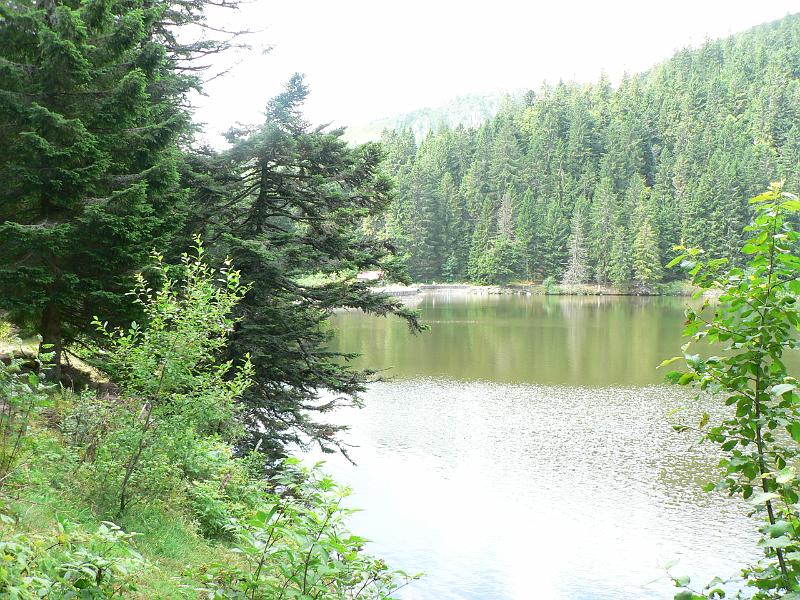 P1030216.JPG - Lac Vert sous la route des crètes