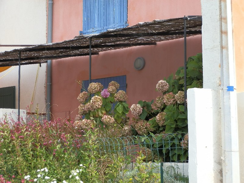 P8070036.JPG - Carro